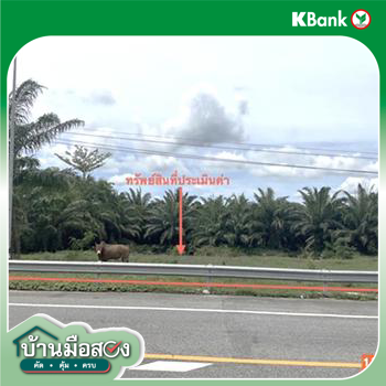 picture LAND 468.3 Sq.w. Kantrang Trang for 2.2M - 17/19