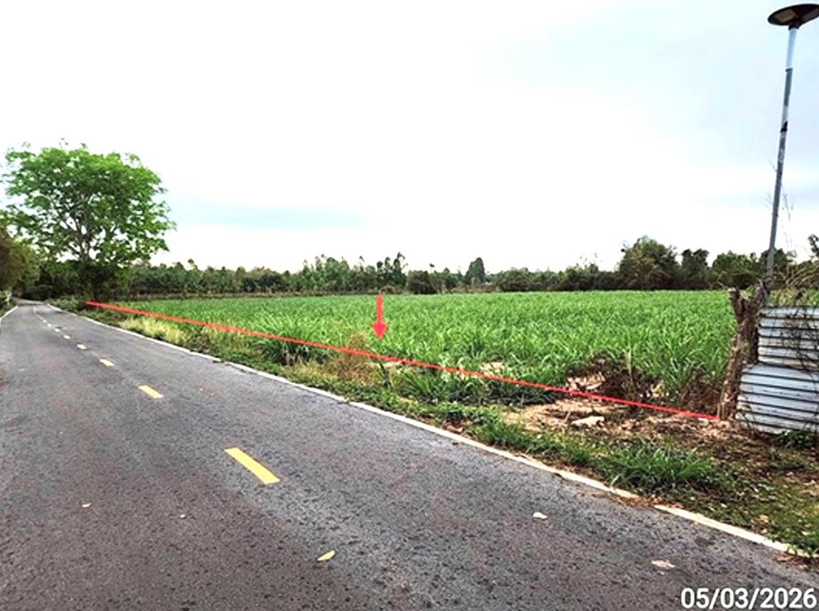 picture LAND 5154 Sq.w. Phon Thong Roi Et for 3.9M - 10/19