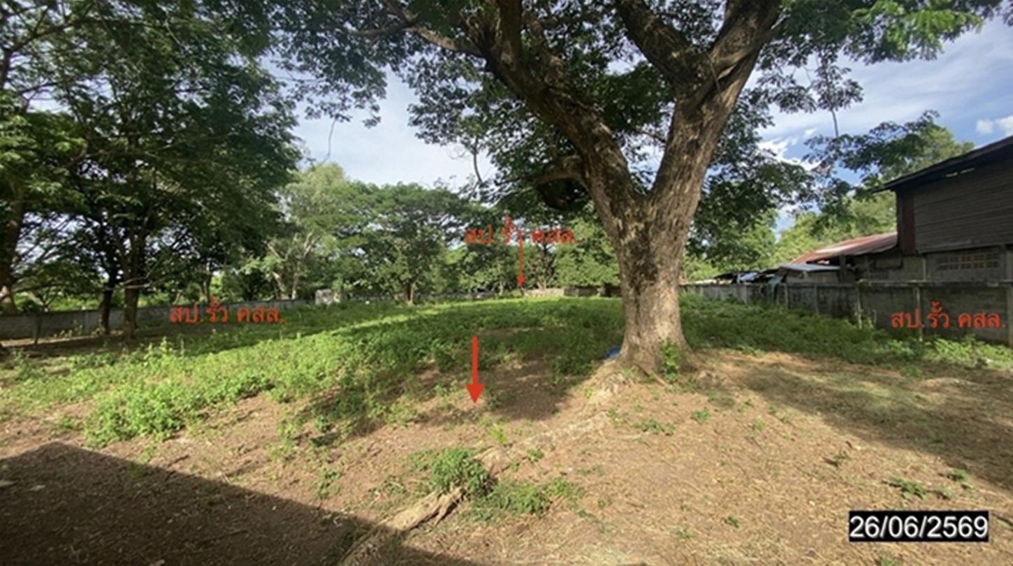 picture LAND 1867 Sq.w. Si Bun Ruang Nong Bua Lam Phu for 3.6M - 9/15