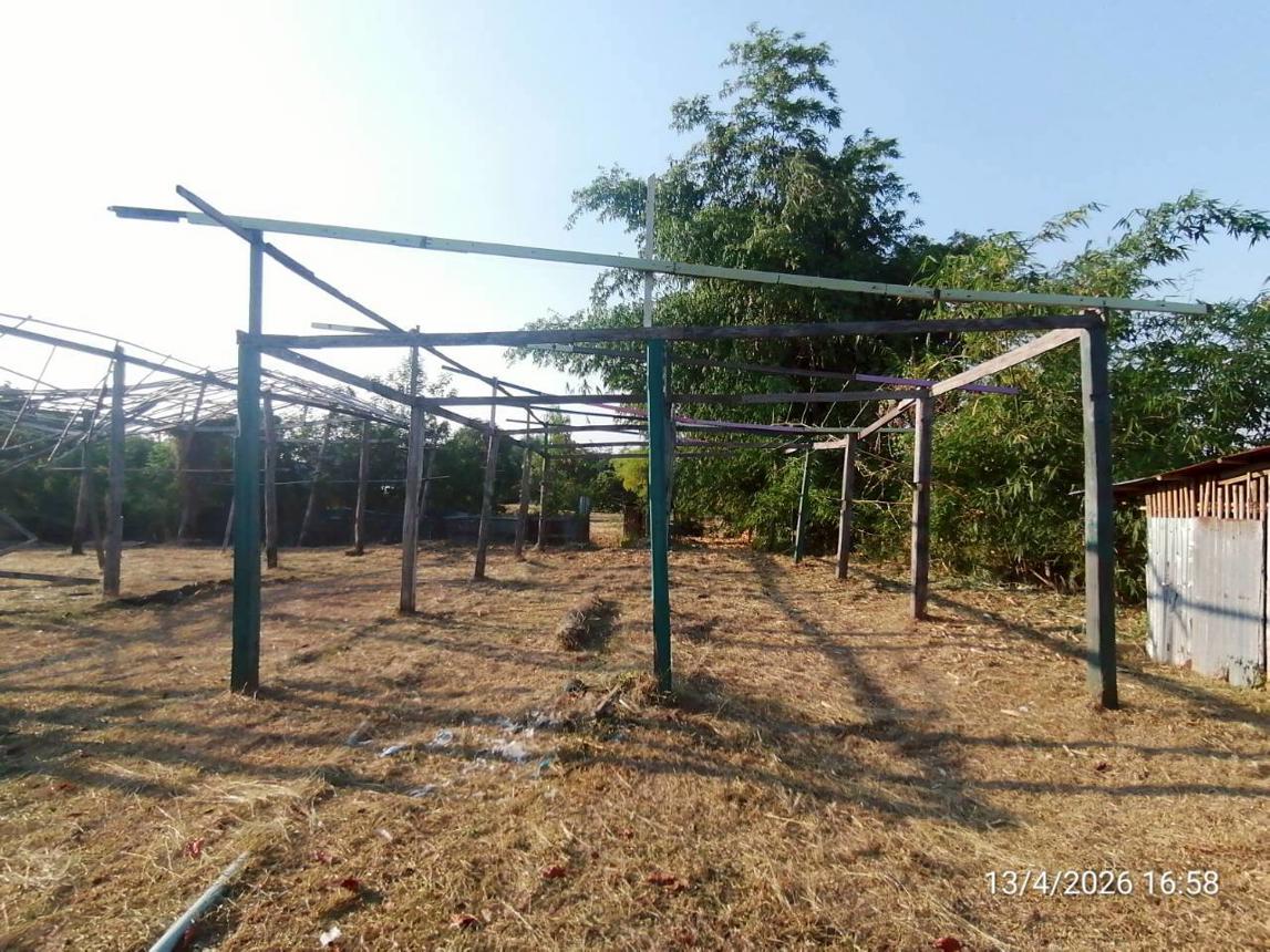 รูป บ้านเดี่ยว 1223 ตร.วา จัตุรัส ชัยภูมิ 1.5M - รูปที่ 33/57