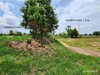 listing thumbnail image 19