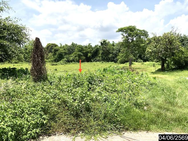 รูป ที่ดินว่างเปล่า 1458 ตร.วา เมืองบึงกาฬ บึงกาฬ 5.4M - รูปที่ 5/19