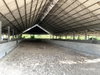 listing thumbnail image 37