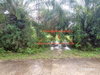 listing thumbnail image 17