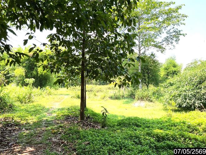 รูป ที่ดินว่างเปล่า 2302 ตร.วา ศรีวิไล บึงกาฬ 5.8M - รูปที่ 8/25
