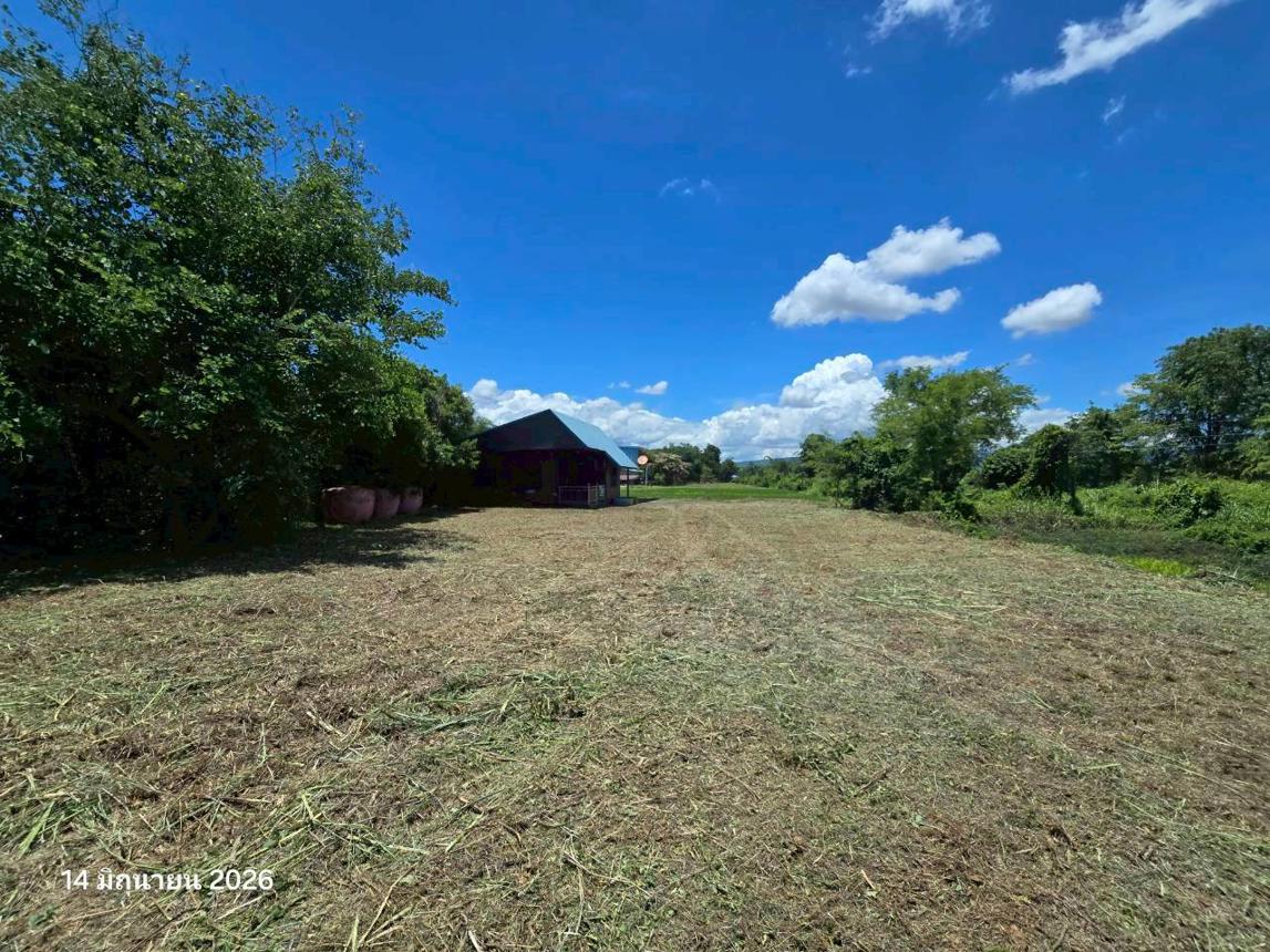 picture HOME 4565.6 Sq.w. Wang Thong Phitsanulok for 3.3M - 39/43