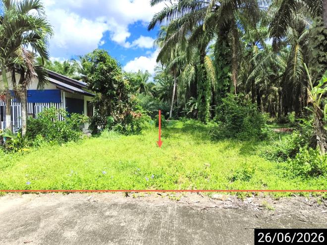picture LAND 67 Sq.w. Chaiya Surat Thani for 359,000 - 1/15