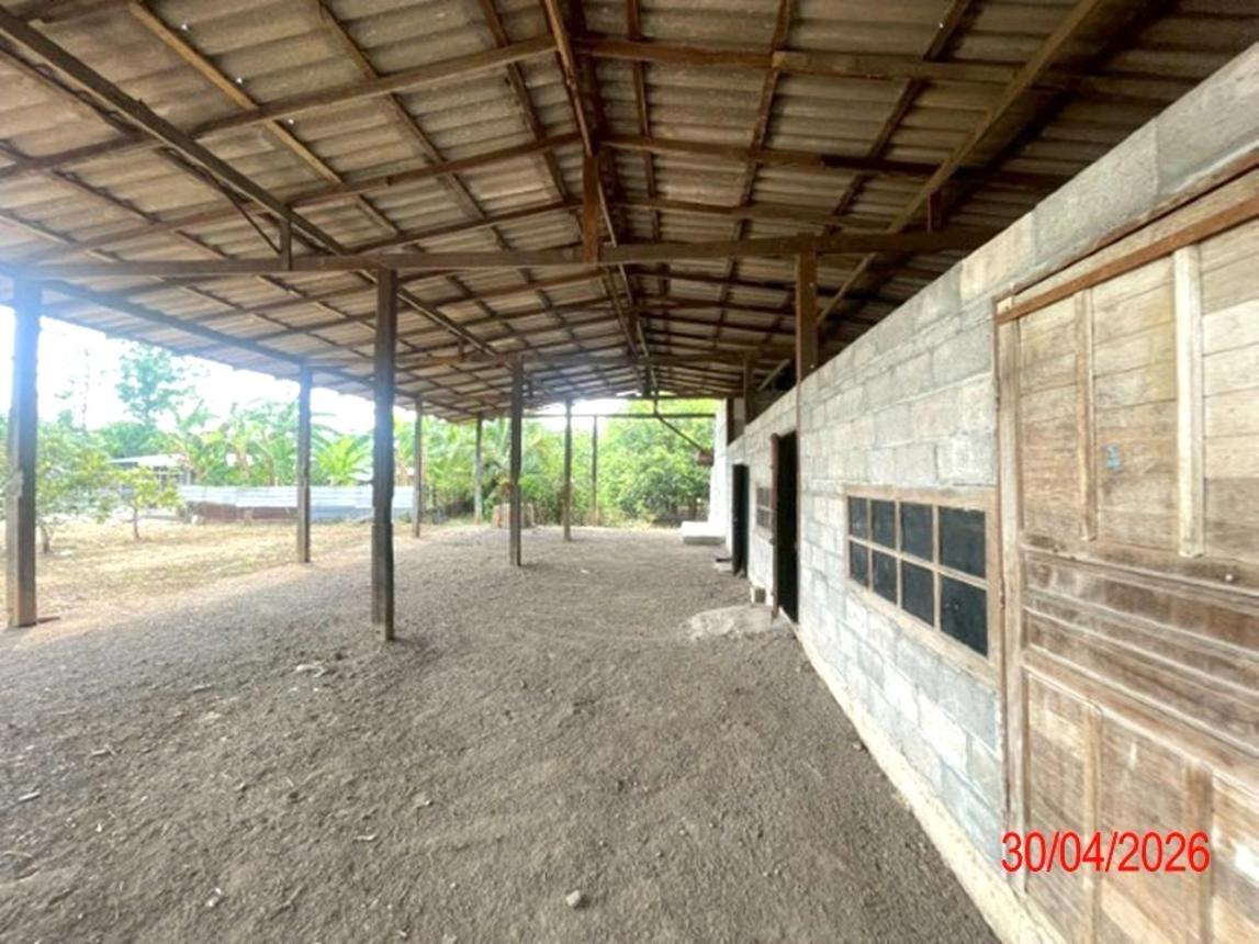 รูป โกดัง 1969.2 ตร.วา บ้านโฮ่ง ลำพูน 3.4M - รูปที่ 46/61