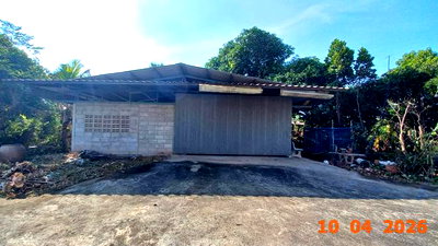 บ้านเดี่ยว ฉะเชิงเทรา : บ้านเดี่ยว 300 ตร.วา บางคล้า ฉะเชิงเทรา 3.5M