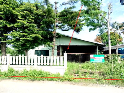 บ้านเดี่ยว เชียงราย : บ้านเดี่ยว 105 ตร.วา แม่จัน เชียงราย 1.1M