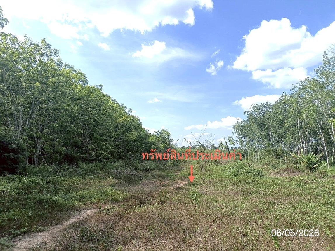 รูป ที่ดินว่างเปล่า 3226.4 ตร.วา ห้วยยอด ตรัง 2.4M - รูปที่ 13/19