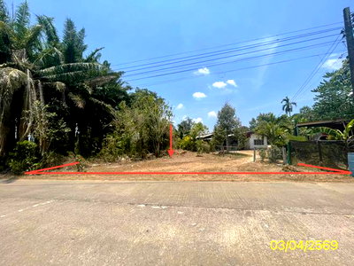 ขายที่ดิน : ที่ดินว่างเปล่า 115 ตร.วา กันตัง ตรัง 751,000