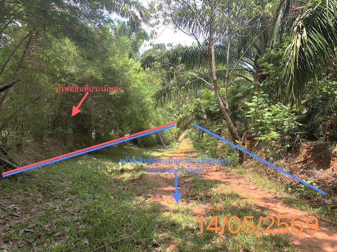 รูป ที่ดินว่างเปล่า 1120 ตร.วา คลองท่อม กระบี่ 2M - รูปที่ 7/17