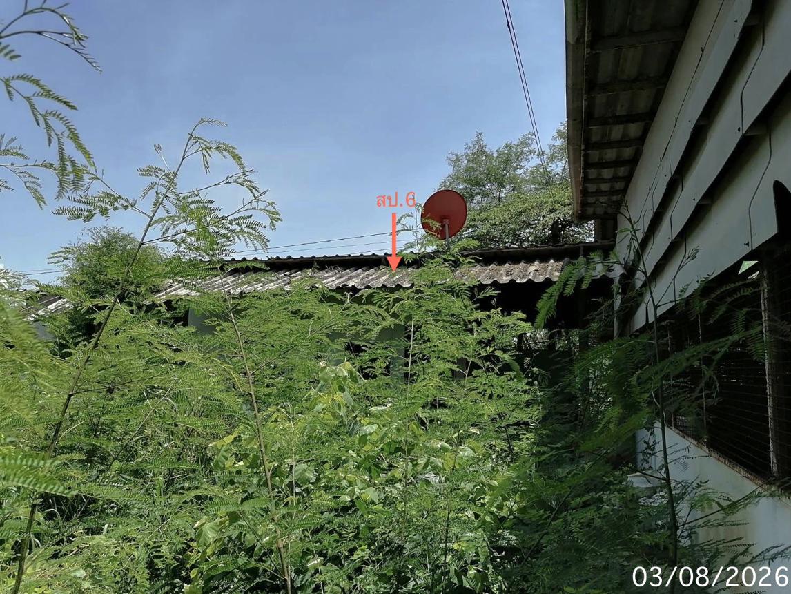รูป อาคารโรงงาน 2314 ตร.วา ผักไห่ พระนครศรีอยุธยา 19.9M - รูปที่ 31/39