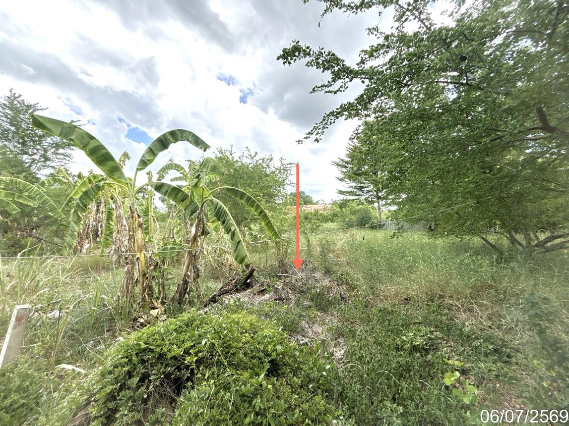 picture LAND 219 Sq.w. Chai Badan Lopburi for 636,000 - 10/15