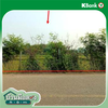 listing thumbnail image 14