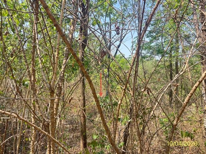 รูป ที่ดินว่างเปล่า 238 ตร.วา ภูพนา รีสอร์ท จอมบึง ราชบุรี 141,000 - รูปที่ 5/17