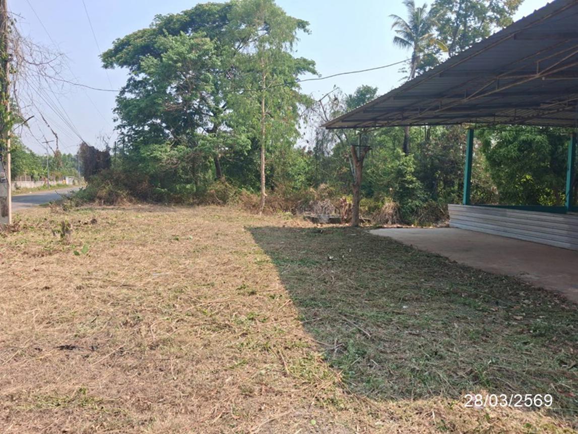 รูป โกดัง 457 ตร.วา เมืองอำนาจเจริญ อำนาจเจริญ 1.2M - รูปที่ 14/25