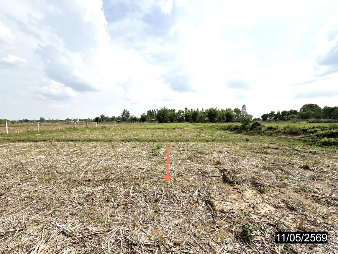 picture LAND 2621.3 Sq.w. Phon Khon Kaen for 1.2M - 12/17