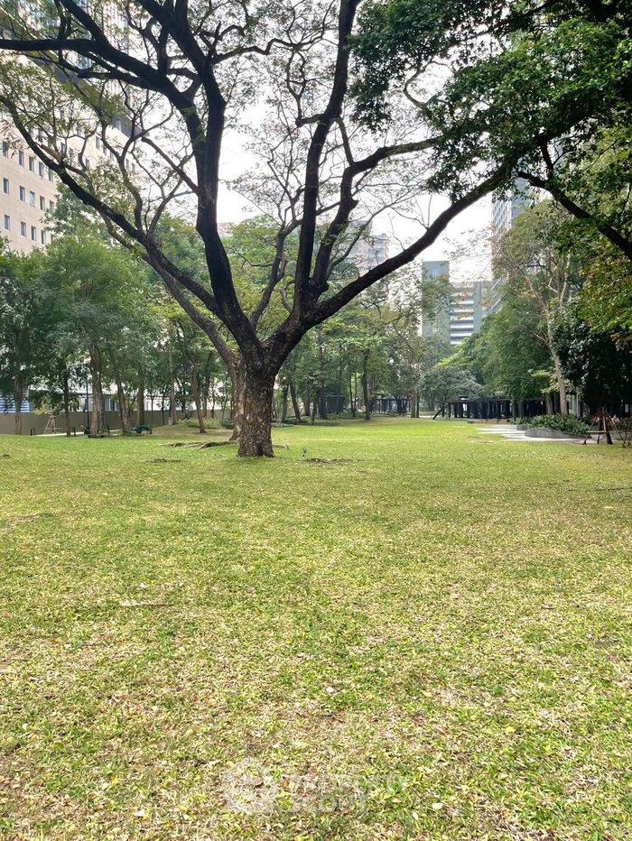 รูป คอนโด 1-ห้องนอน ที่ เดอะ ไลน์ พหลโยธิน พาร์ค ใกล้ MRT พหลโยธิน (ID 3328248) - รูปที่ 20/22