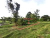 listing thumbnail image 21