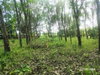 listing thumbnail image 15