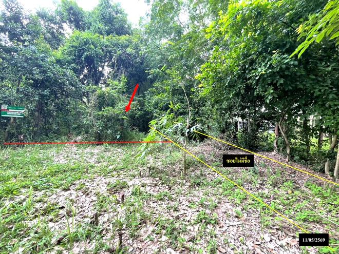 รูป ที่ดินว่างเปล่า 179 ตร.วา ส่องดาว สกลนคร 286,000 - รูปที่ 8/19