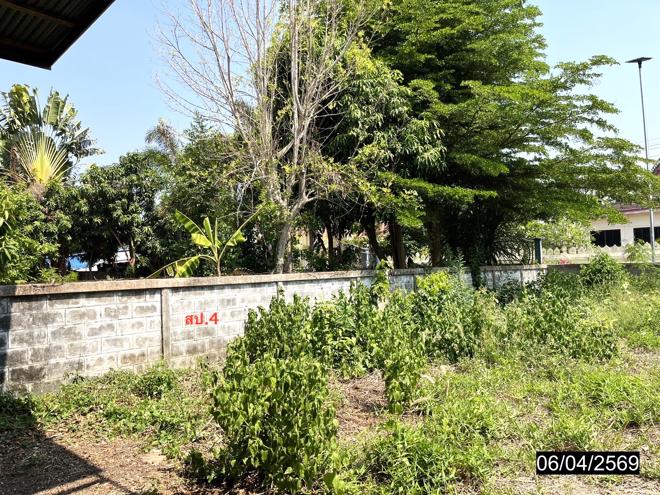รูป บ้านเดี่ยว 278 ตร.วา ยางตลาด กาฬสินธุ์ 2.3M - รูปที่ 14/31