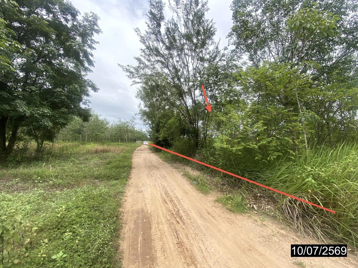 picture LAND 12067 Sq.w. Kut Chap Udon Thani for 4.5M - 15/21