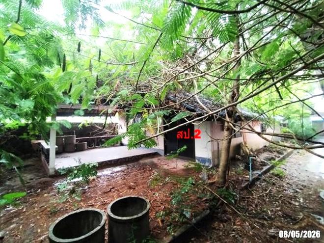 picture SHOP HOUSE 254 Sq.w. Nongkai for 15.2M - 8/39