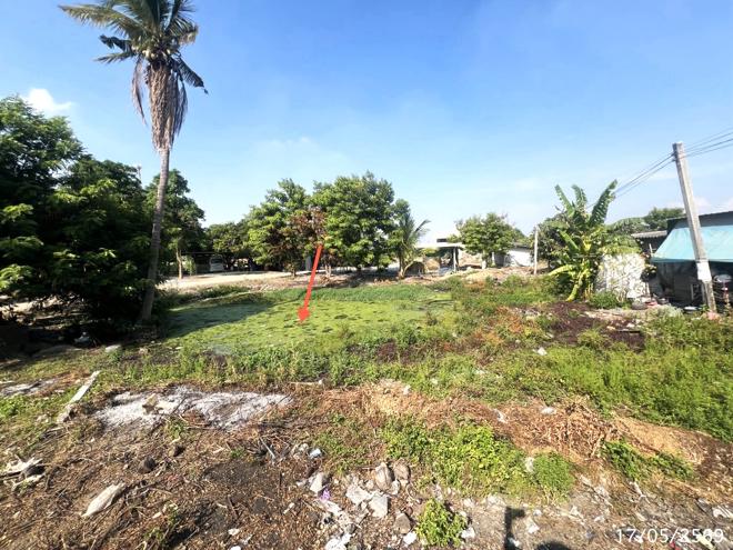 รูป โกดัง 800 ตร.วา สองพี่น้อง สุพรรณบุรี 2.9M - รูปที่ 21/45