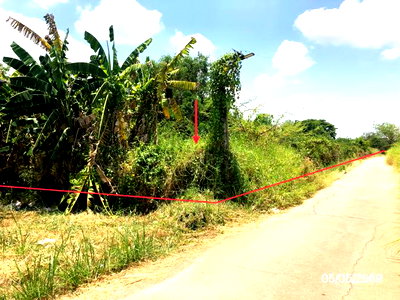 ขายที่ดิน : ที่ดินว่างเปล่า 1271.2 ตร.วา สวรรคโลก สุโขทัย 4.2M