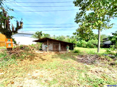บ้านเดี่ยว ตรัง : บ้านเดี่ยว 85.4 ตร.วา สิเกา ตรัง 1.3M