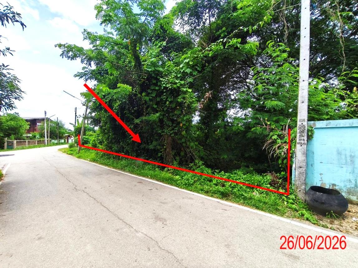 picture LAND 933 Sq.w. Hang Chat Lamphang for 2.1M - 11/21