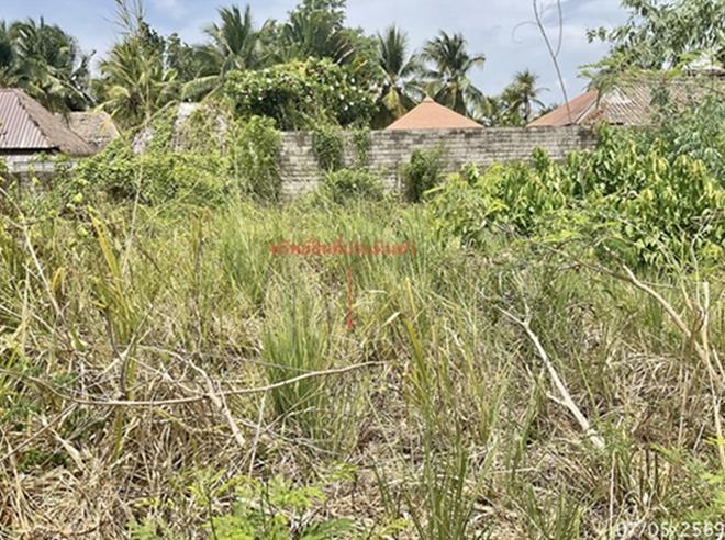 picture LAND 60 Sq.w. Hua Hin Prachaubkirikhan for 360,000 - 2/23