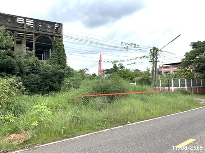 picture LAND 79 Sq.w. Senangkhanikhom Amnat Charoen for 569,000 - 2/19