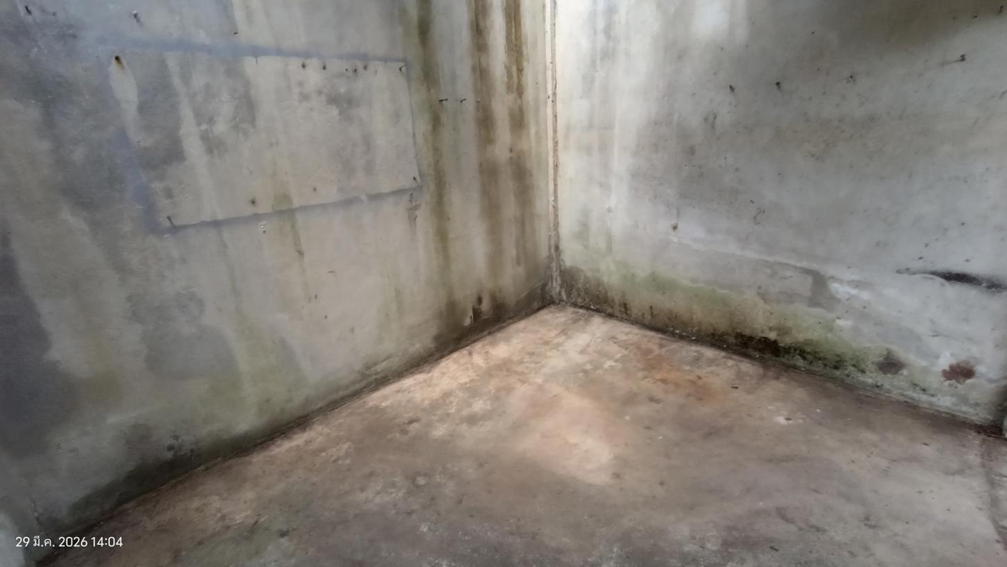 picture FACTORY 179 Sq.w. Huai Yot Trang for 1.2M - 19/27