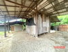 listing thumbnail image 31