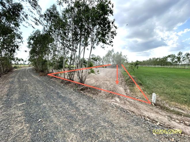 รูป ที่ดินว่างเปล่า 1161 ตร.วา มหาชนะชัย ยโสธร 436,000 - รูปที่ 1/19