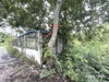 listing thumbnail image 34