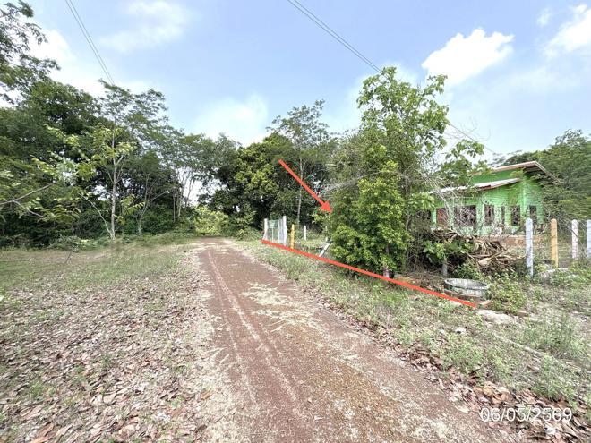 รูป บ้านเดี่ยว 90 ตร.วา สว่างวีระวงศ์ อุบลราชธานี 819,000 - รูปที่ 13/29