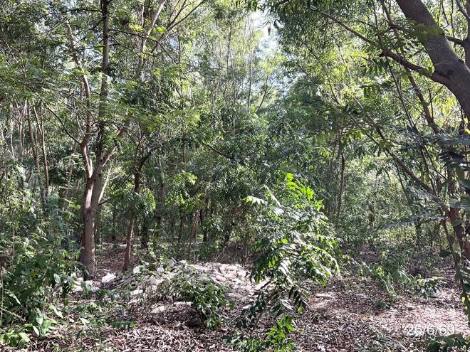 รูป ที่ดินว่างเปล่า 3045 ตร.วา เมืองชัยภูมิ ชัยภูมิ 4.3M - รูปที่ 5/21
