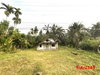 listing thumbnail image 22