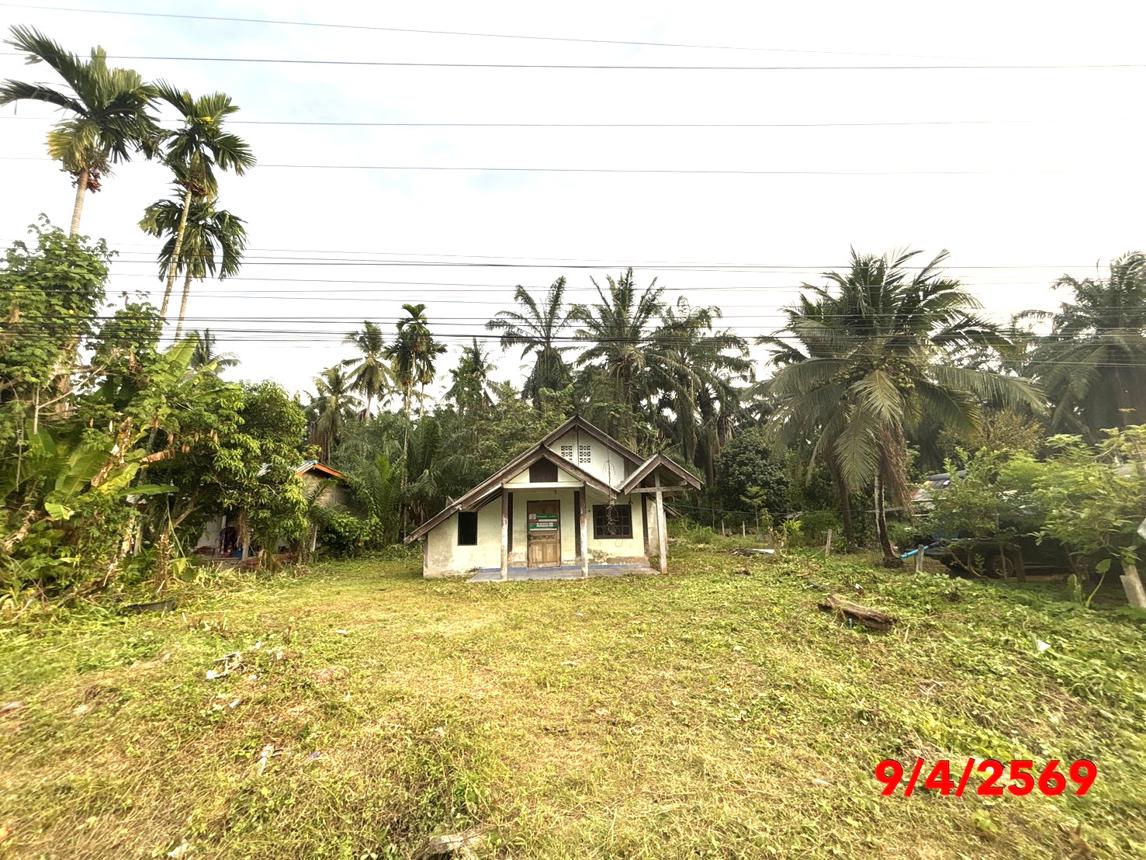 รูป บ้านเดี่ยว 265 ตร.วา ชัยบุรี สุราษฎร์ธานี 1.7M - รูปที่ 23/27