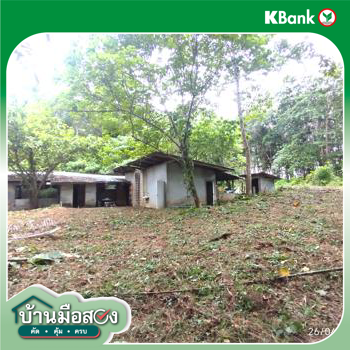 รูป บ้านเดี่ยว 4455.3 ตร.วา ตะกั่วทุ่ง พังงา 4.4M - รูปที่ 35/37