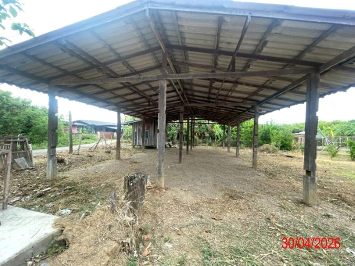 รูป โกดัง 1969.2 ตร.วา บ้านโฮ่ง ลำพูน 3.4M - รูปที่ 44/61