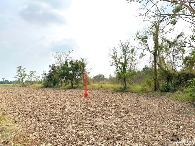 picture LAND 5639 Sq.w. Muang Phitsanulok Phitsanulok for 56.9M - 7/17