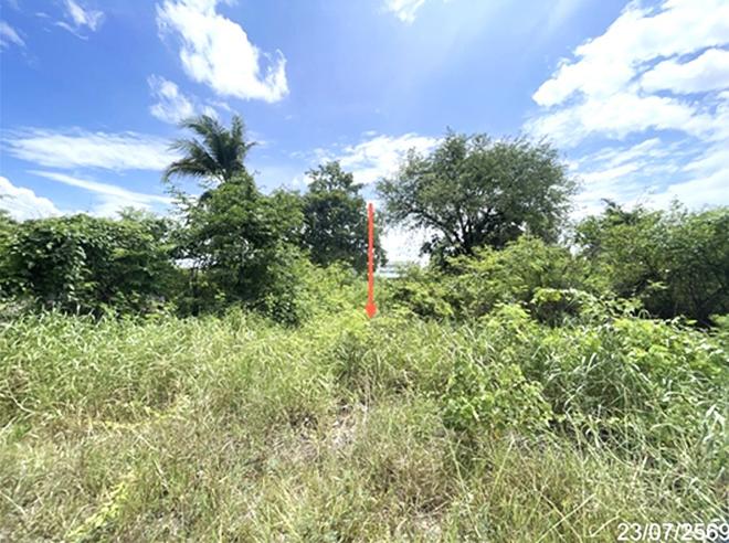 picture LAND 759 Sq.w. Phran Kratai Kamphaeng Phet for 806,000 - 5/15