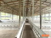 listing thumbnail image 22