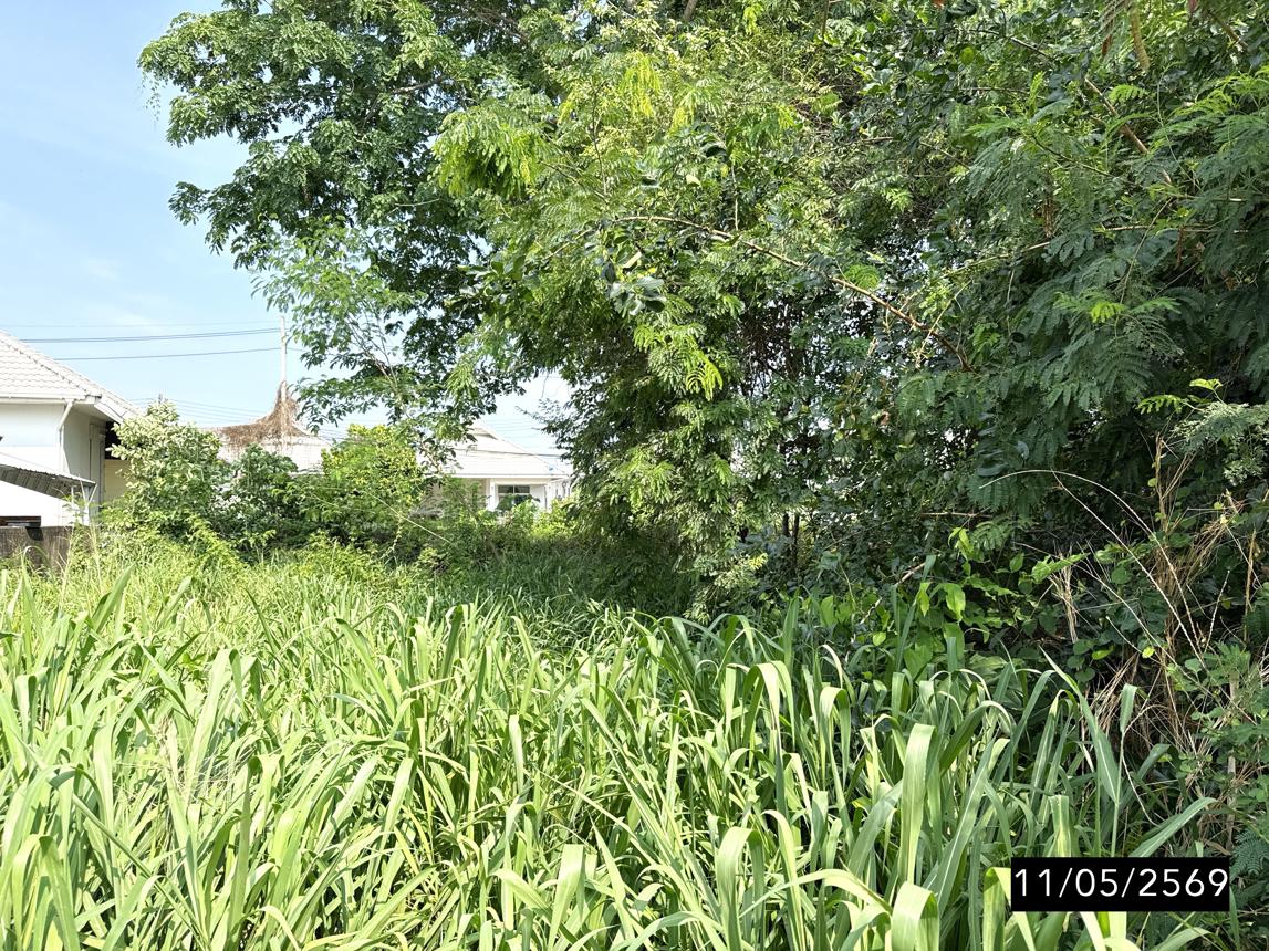 รูป ที่ดินว่างเปล่า 80 ตร.วา เมืองขอนแก่น ขอนแก่น 1.1M - รูปที่ 10/15